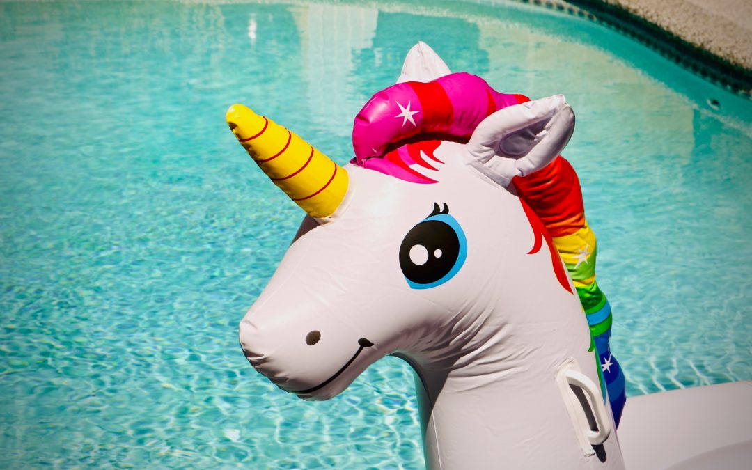 The problem with unicorns